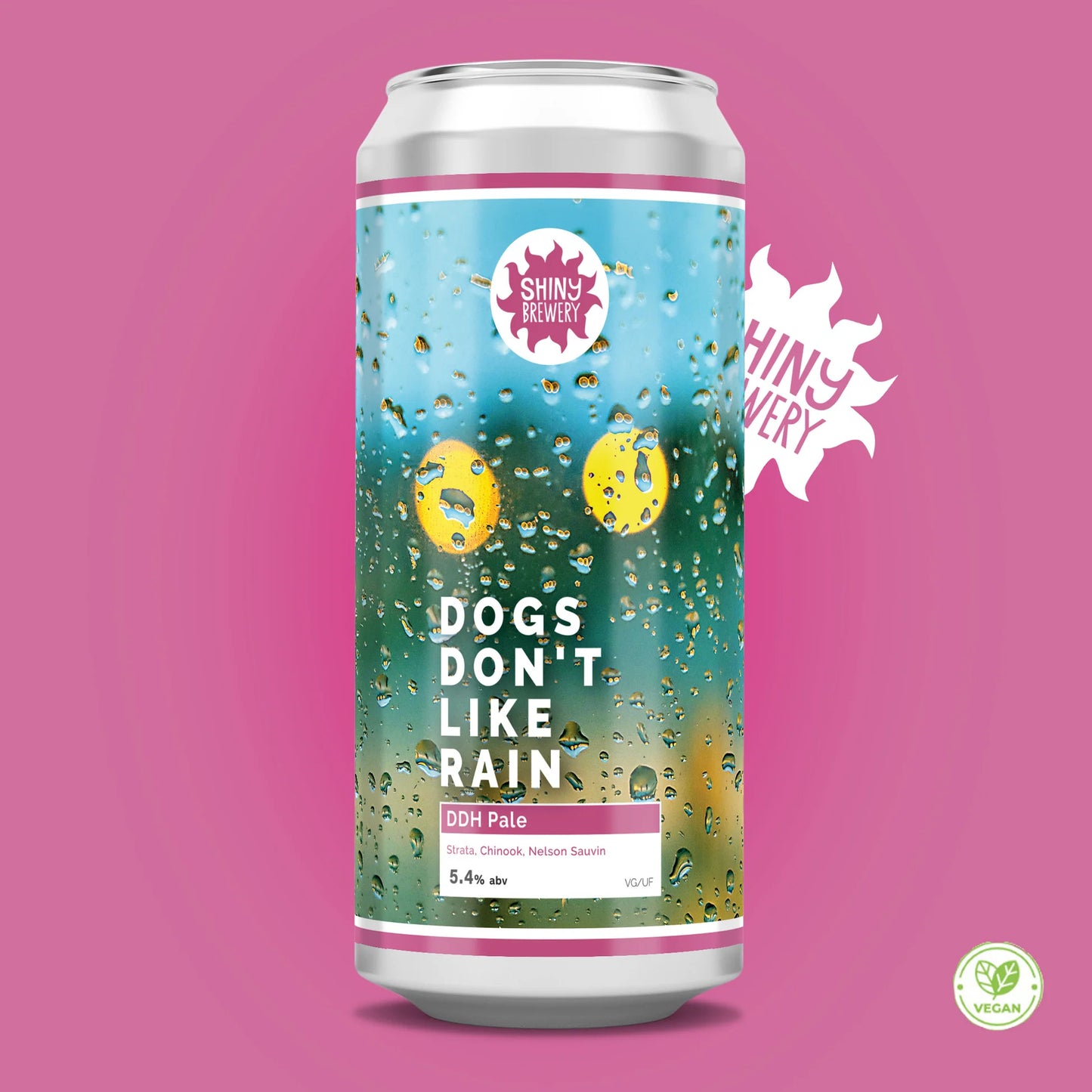 Dogs Don't Like Rain