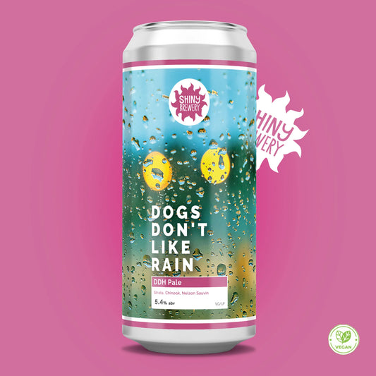 Dogs Don't Like Rain