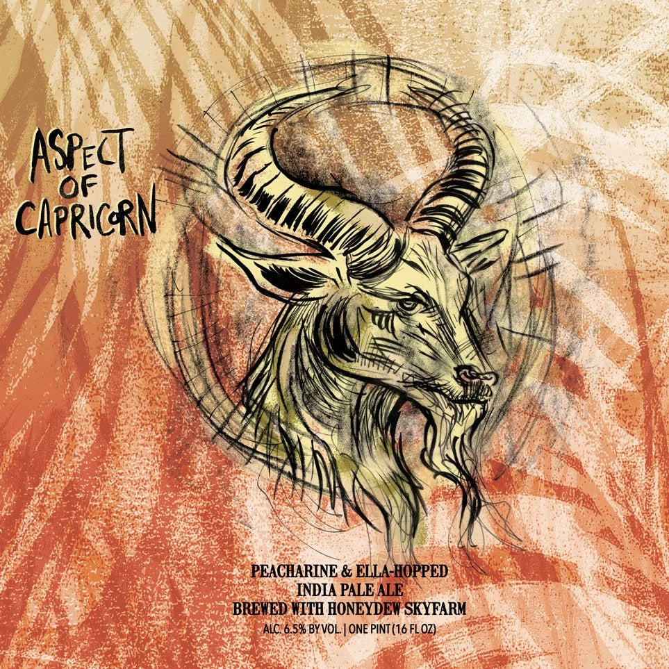 Aspect Of Capricorn