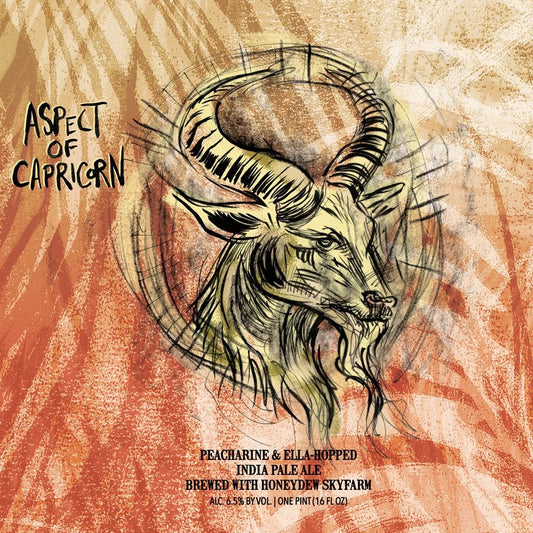 Aspect Of Capricorn