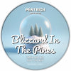 Blizzard in the Pines
